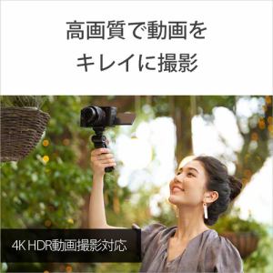 [推奨品]ソニー　ILCE-7CL　S　α7C　ミラーレス一眼カメラ　ズームレンズキット　シルバー