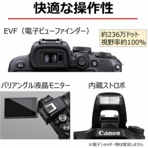キヤノン EOSR10 ミラーレスカメラ EOS R10 ボディー | ヤマダ