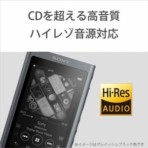 ソニー NW-A55GM ウォークマン A50シリーズ 16GB ホライズン 