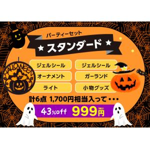 【WEB限定】届いてからのお楽しみ！ハロウィンパーティー999円スタンダードセット