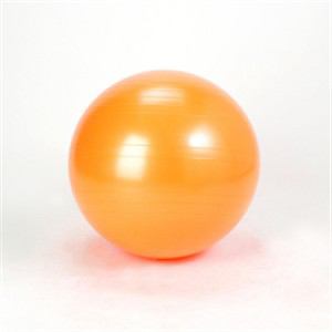 アルインコ　エクササイズボール　55cm　オレンジ　EXG124-D