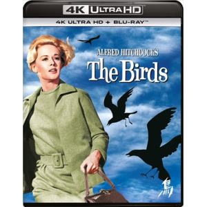 【4K ULTRA HD】鳥 (4K ULTRA HD+ブルーレイ)