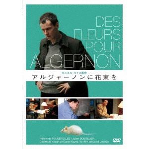 【DVD】アルジャーノンに花束を