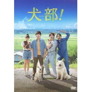 【DVD】犬部!(通常版)