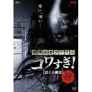 【DVD】戦慄怪奇ファイル コワすぎ! FILE-02 震える幽霊