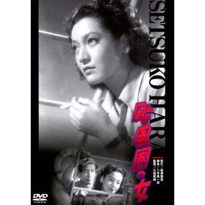 【DVD】颱風圏の女