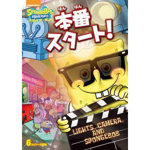 【DVD】スポンジ・ボブ 本番スタート！