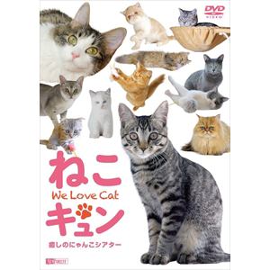 【DVD】 ねこキュン 癒しのにゃんこシアター We Love Cat