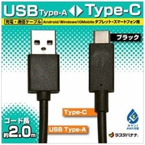ラスタバナナ RBHE264 2m USB-C ⇔ USB-A ケーブル 充電・転送 ブラック