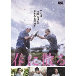 【DVD】春に散る　DVDスタンダード・エディション