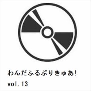【DVD】わんだふるぷりきゅあ!　vol.13