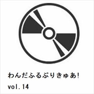 【DVD】わんだふるぷりきゅあ!　vol.14