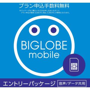 ビッグローブ Select Kit W Biglobeモバイル エントリーパッケージ ヤマダウェブコム