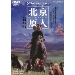 【DVD】北京原人 Who are you?