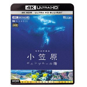 ＜4K　ULTRA　HD＞　世界自然遺産　小笠原　～ボニンブルーの海～(4K　ULTRA　HD)