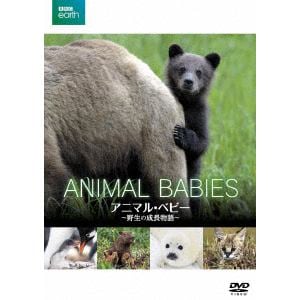 【DVD】 BBC earth アニマル・ベビー ～野生の成長物語～