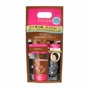 資生堂（SHISEIDO）　プリオール　(PRIOR)　カラーコンディショナー　N　限定セット　D　ブラウン　自然な茶色