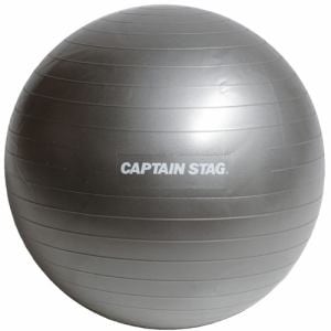 CAPTAIN STAG UR-863 フィットネスボール φ65 シルバーホワイト UR863
