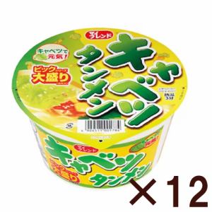 マイフレンド　ビックキャベツタンメン　100g　【12個セット】