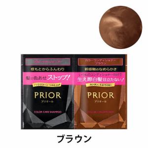 資生堂（SHISEIDO）　プリオール　(PRIOR)　１DAYトライアルセット　N　ブラウン　自然な茶色