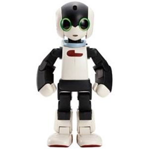 DMM．COM　DMM.make　ROBOTS　[Robi　動きや声、仕草がとっても愛くるしいロボット]　RBHM0000000545731927