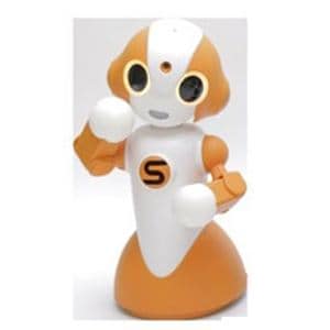 テルウェル東日本 [対話ロボット] Sota(橙色) VS-ST001-OR