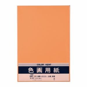 マルアイ Pエ-N47DA 色画用紙 N471 オレンジ