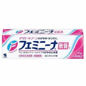 【第2類医薬品】 小林製薬 フェミニーナ軟膏S (15g)