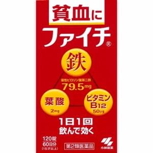 【第2類医薬品】 小林製薬 ファイチ (120錠)