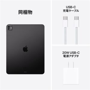 アップル(Apple) MVX23J/A iPad Pro Apple M4 13インチ Wi-Fiモデル 256GB（標準ガラス搭載）  スペースブラック 2024年