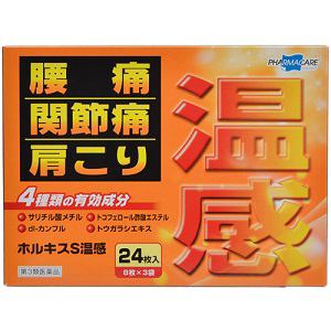 【第3類医薬品】 テイコクファルマケア ホルキスS温感 (24枚入)