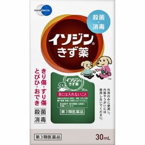 【第3類医薬品】 シオノギヘルスケア イソジンきず薬 (30mL)