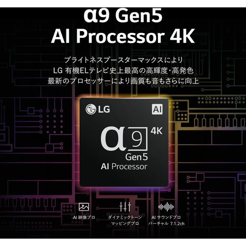 LG Electorinics Japan OLED55G2PJA 有機ELテレビ 55V型 ／4K対応 ／BS
