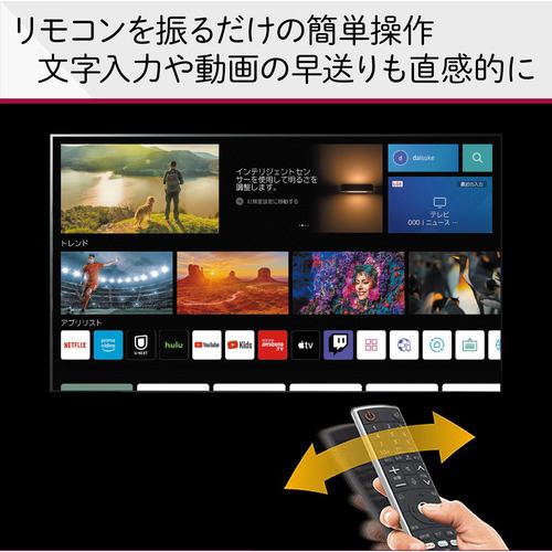 LG Electorinics Japan OLED55B2PJA 有機ELテレビ 55V型 ／4K対応 ／BS