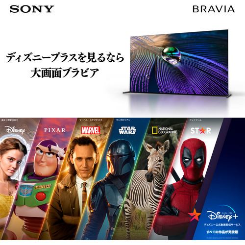 ソニー KJ-50X85K 50V型 4K 液晶テレビ BRAVIA KJ50X85K | ヤマダ