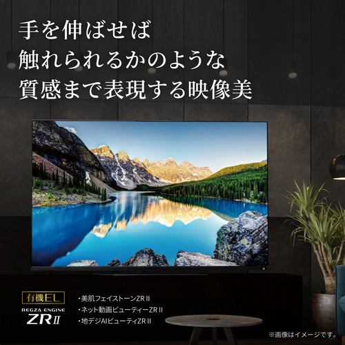 TOSHIBA REGZA 48X8900L 有機ELテレビ 4K 【ジャンク】4K対応4K対応あり