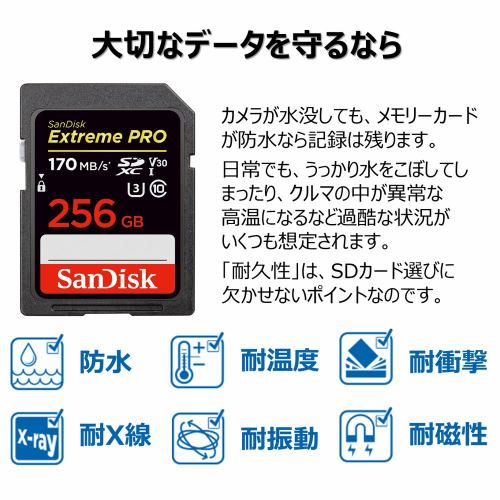 サンディスク SanDisk エクストリーム プロ SDXC UHS-I 256GB ビデオ ...