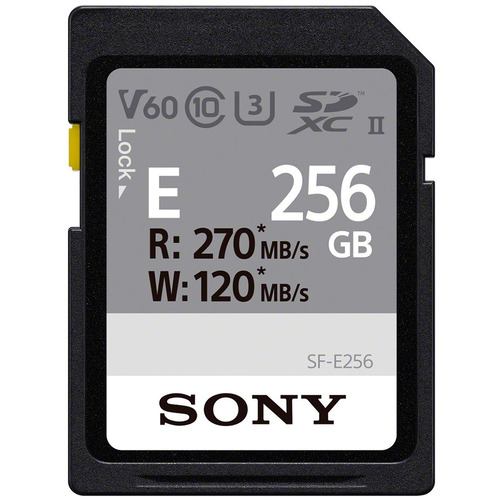 SONY(ソニー)　SF-E256 [256GB]
