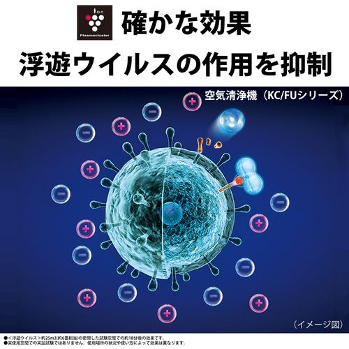 シャープ FU-R50 空気清浄機 プラズマクラスター7000搭載 ホワイト系