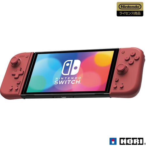Nintendo Switch 本体 & コントローラー