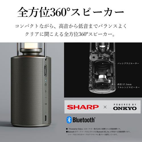 シャープ DL-FS01L-S ポータブルスピーカーランタン any Portable 