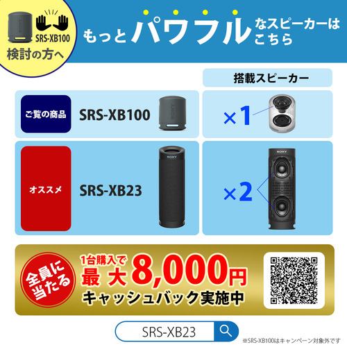 ソニー SRS-XB100 DC ワイヤレスポータブルスピーカー オレンジ SRSXB100 DC