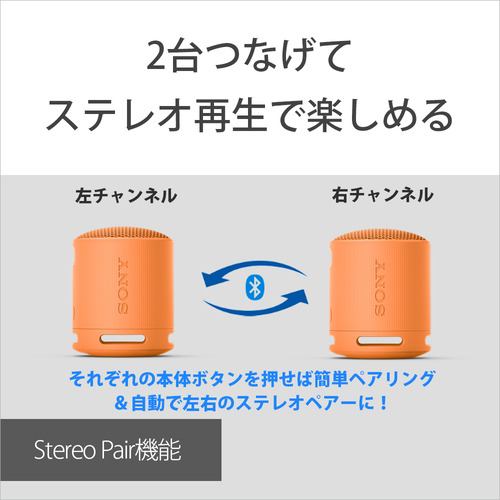 ソニー SRS-XB100 DC ワイヤレスポータブルスピーカー オレンジ
