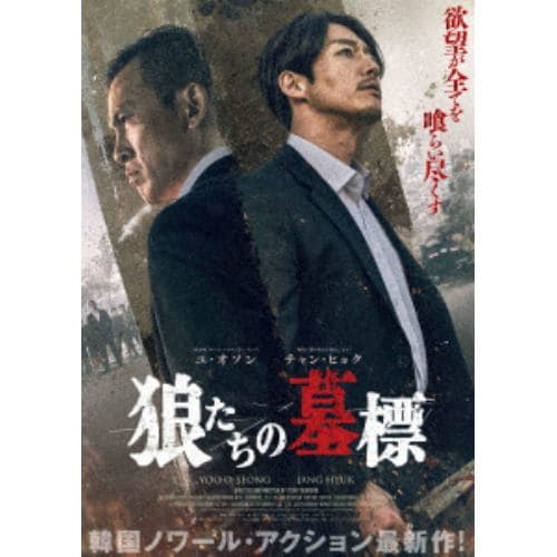 エンタメ/ホビー劇場版ラジエーションハウス』Blu-ray&DVD 豪華版