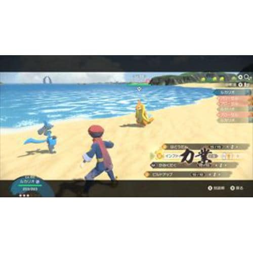 Pokemon LEGENDS アルセウス Nintendo Switch HAC-P-AW7KA ポケモン 
