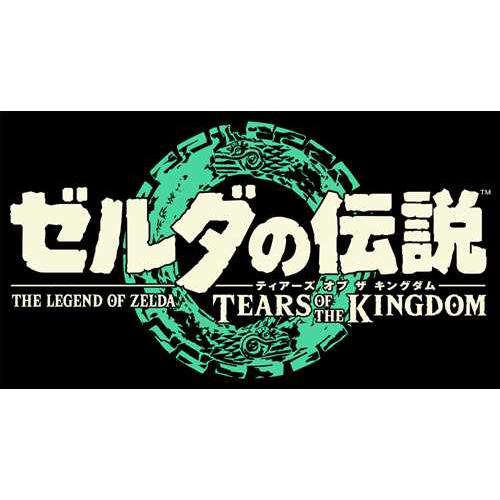 ゼルダの伝説 Tears of the Kingdom （ティアーズ オブ ザ キングダム 
