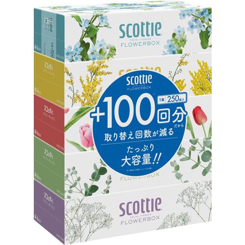日本製紙クレシア スコッティティシュー フラワーボックス 250組 5箱パック