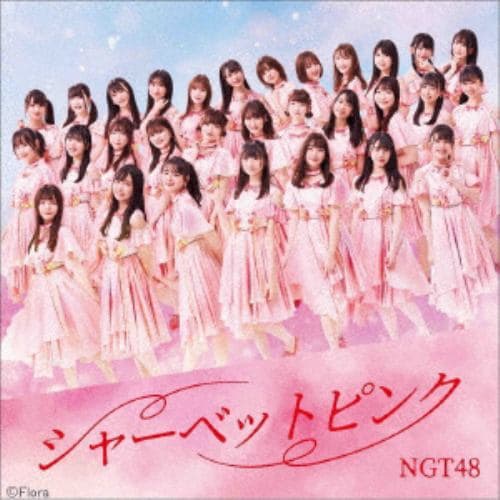 【CD】NGT48 ／ シャーベットピンク(TYPE-B)(DVD付)