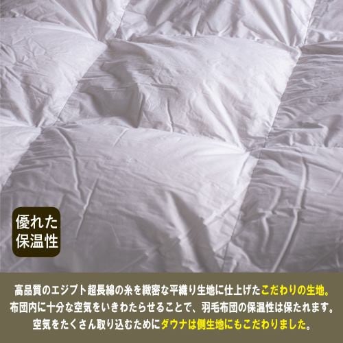 大塚家具】ダウナN 羽毛布団 シングル-