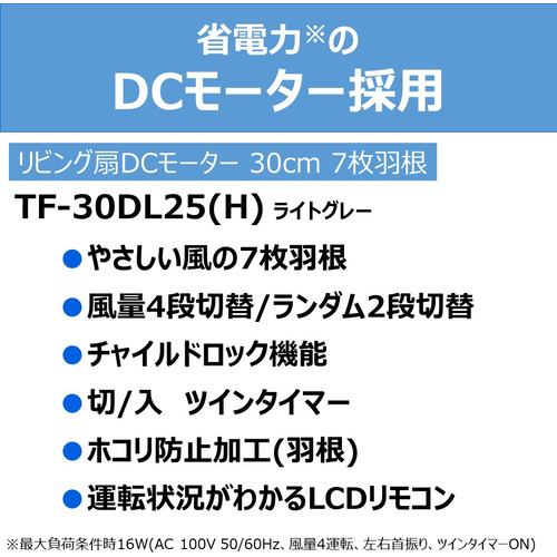 TOSHIBA TF-30DL25(H) GRAY